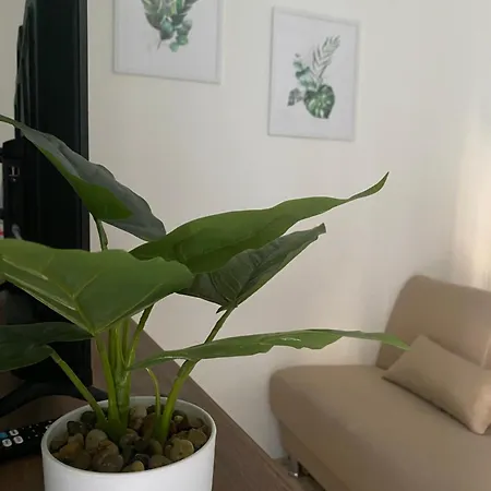 Apartamento Essential *