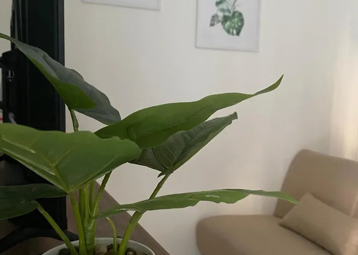 Apartamento Essential *